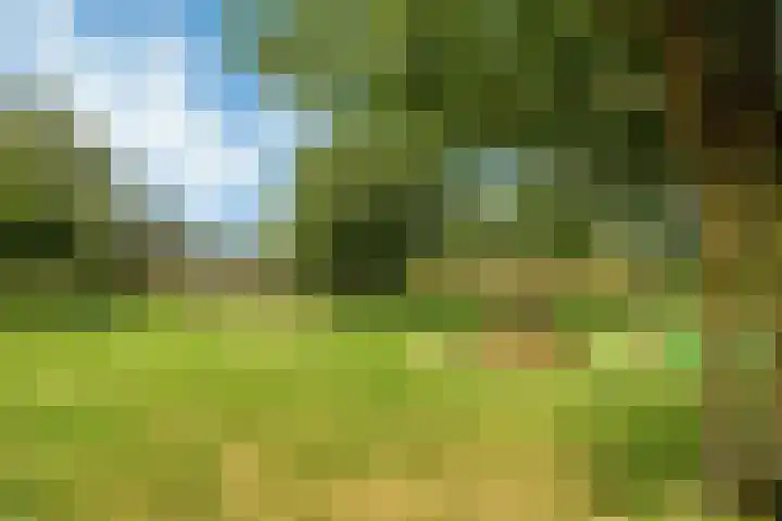 Etta Palmstraat 116 Hoofddorp thumbnail 39
