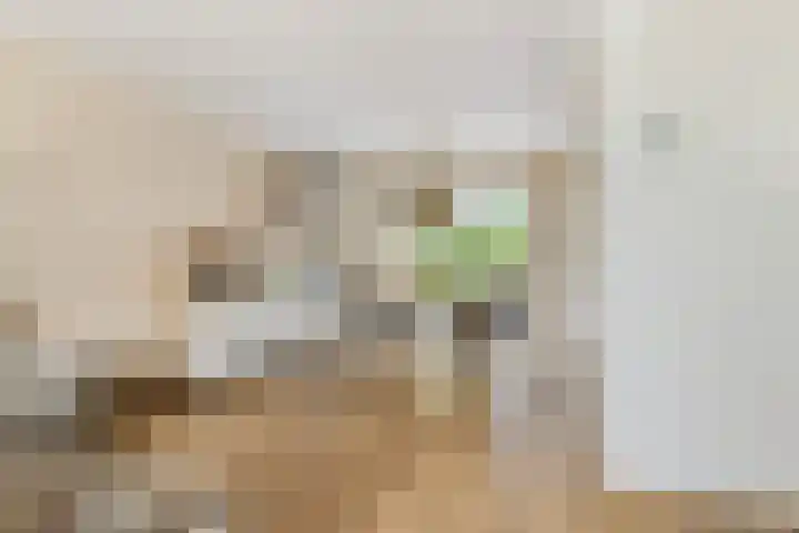 Etta Palmstraat 116 Hoofddorp thumbnail 9