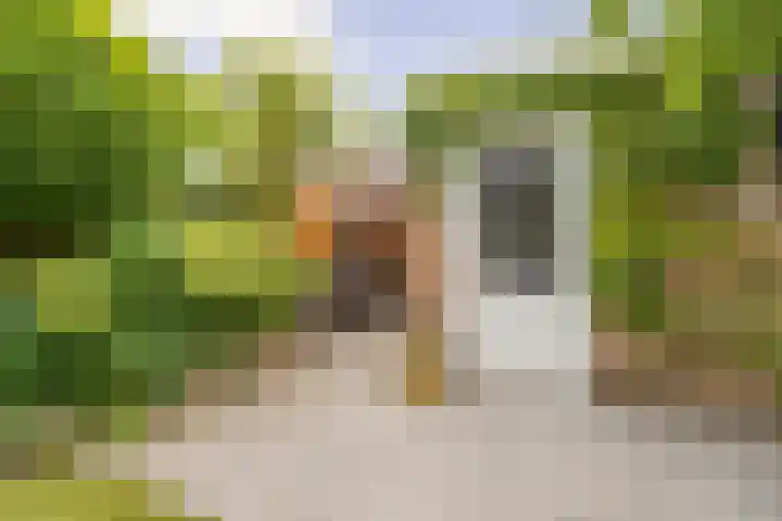 Etta Palmstraat 145 Hoofddorp thumbnail 32