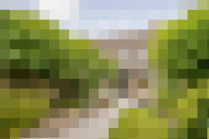 Etta Palmstraat 145 Hoofddorp thumbnail 33