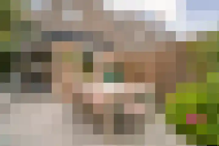 Etta Palmstraat 145 Hoofddorp thumbnail 35