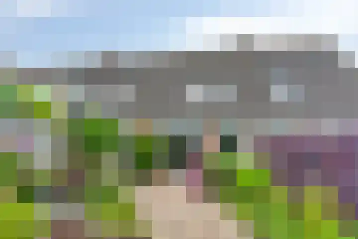 Etta Palmstraat 165 Hoofddorp thumbnail 5