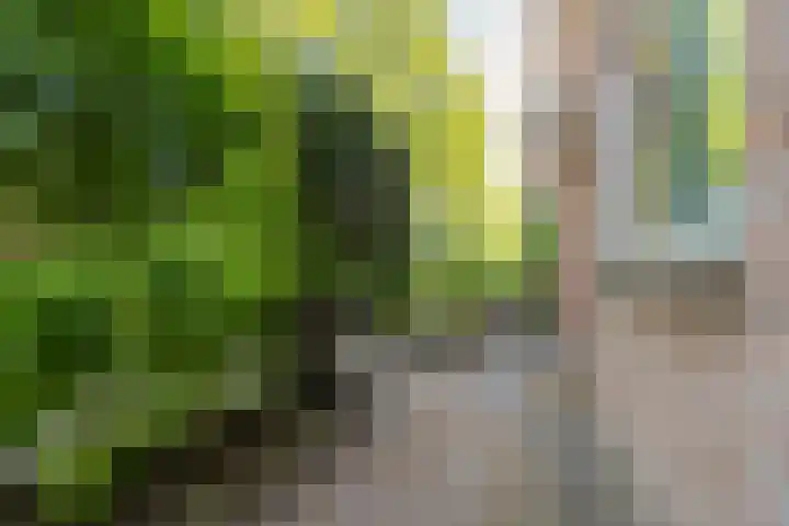 Etta Palmstraat 92 Hoofddorp thumbnail 38