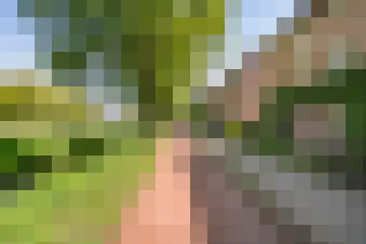 Etta Palmstraat 92 Hoofddorp thumbnail 40