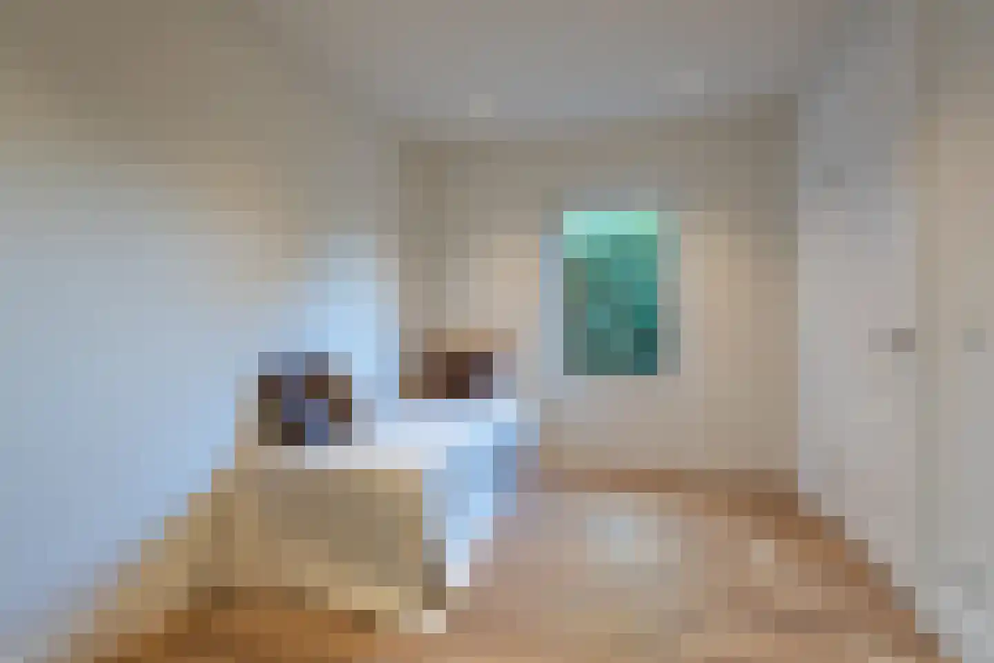 Ettelbrückhof 3 Eindhoven thumbnail 32
