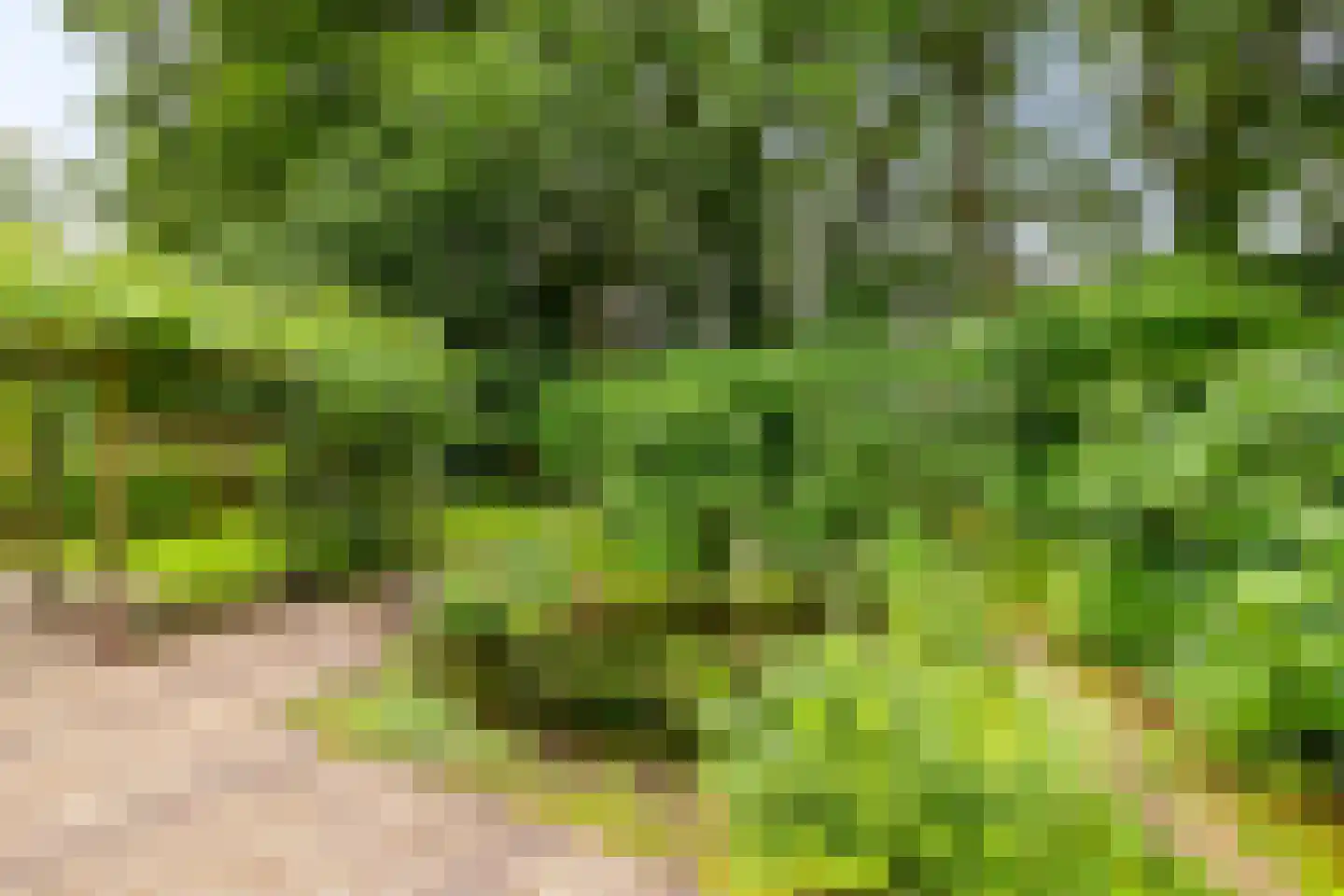 Ettenlaan 15 Rolde thumbnail 11