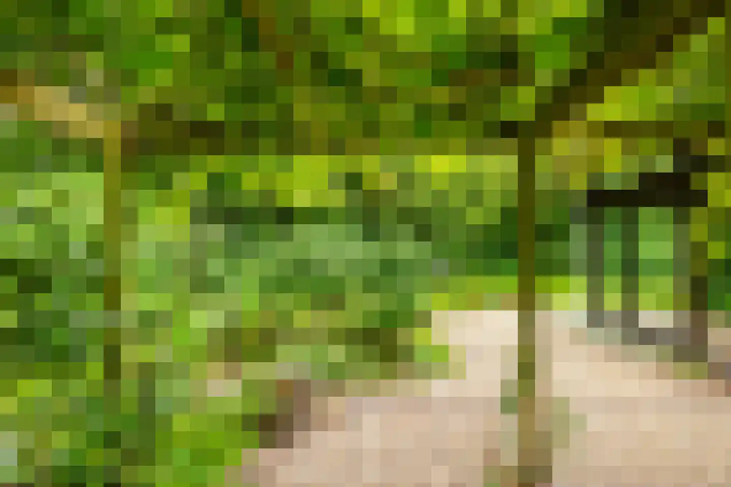Ettenlaan 15 Rolde thumbnail 13