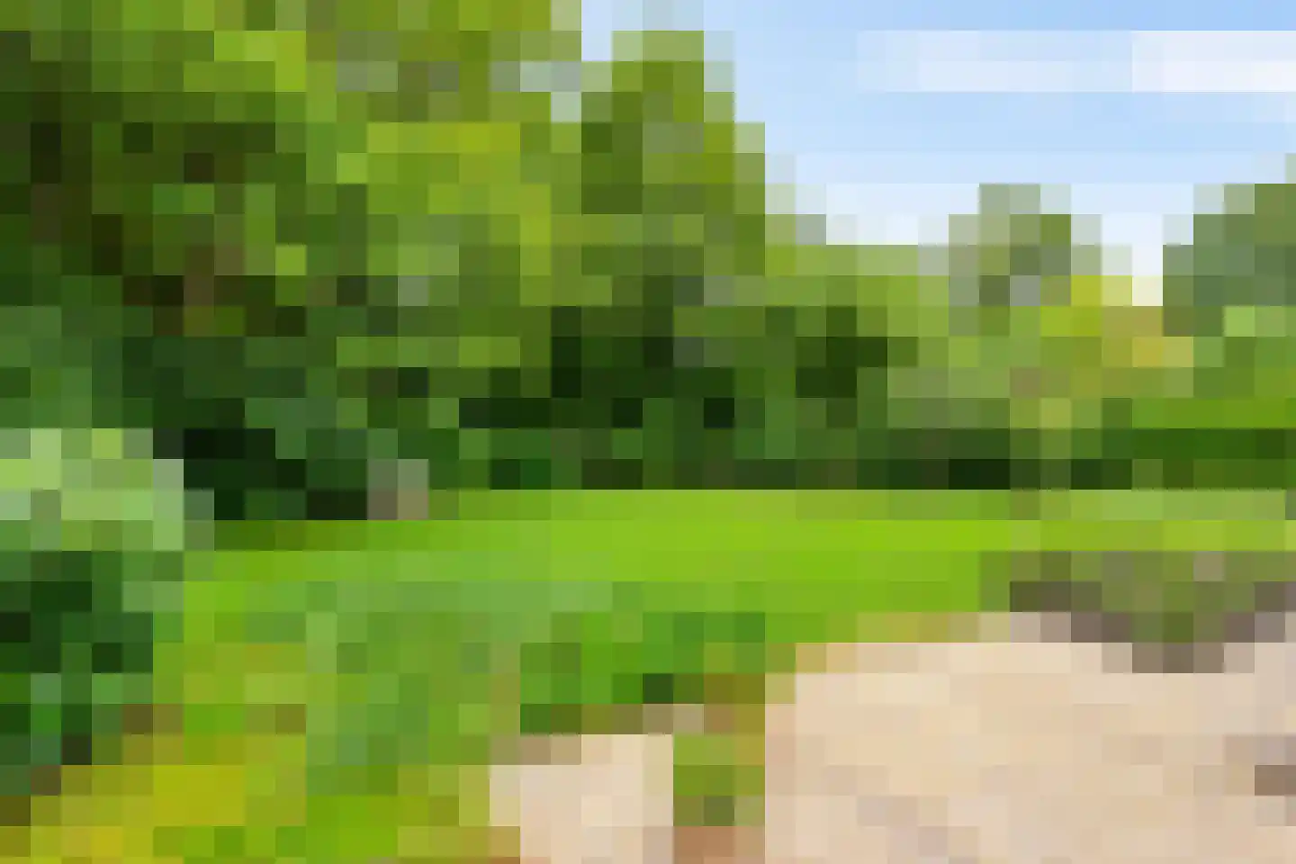 Ettenlaan 15 Rolde thumbnail 14