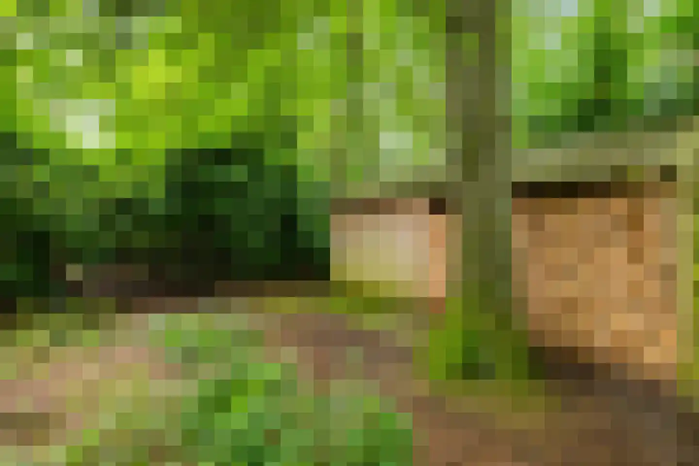 Ettenlaan 15 Rolde thumbnail 16