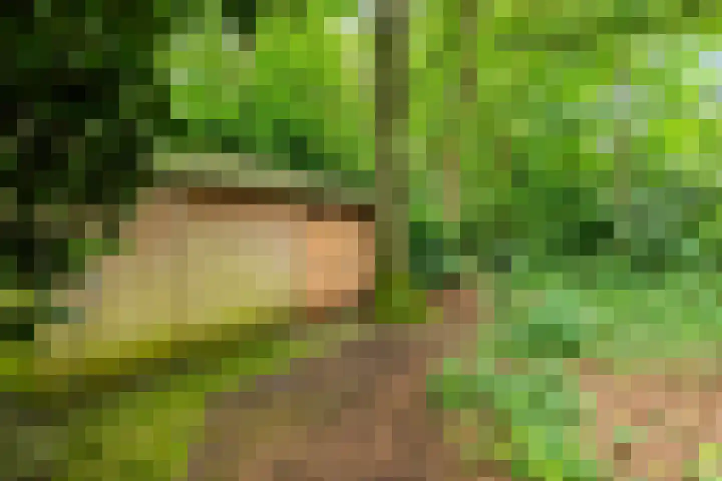 Ettenlaan 15 Rolde thumbnail 17