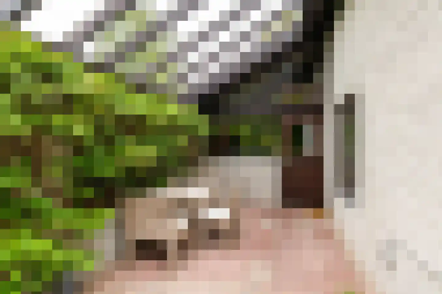 Ettenlaan 15 Rolde thumbnail 5