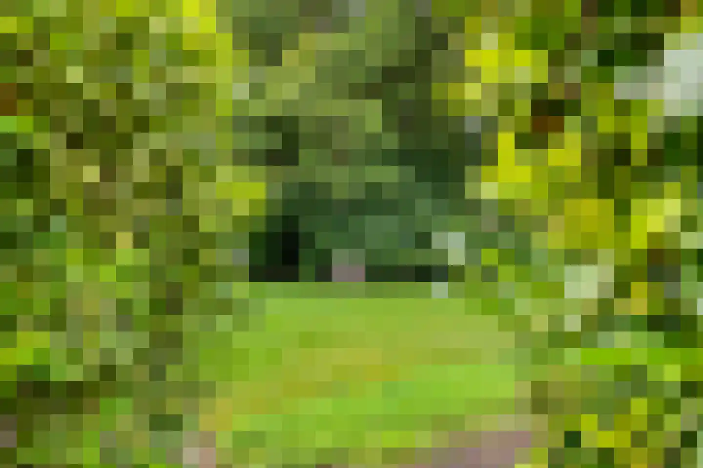 Ettenlaan 15 Rolde thumbnail 8