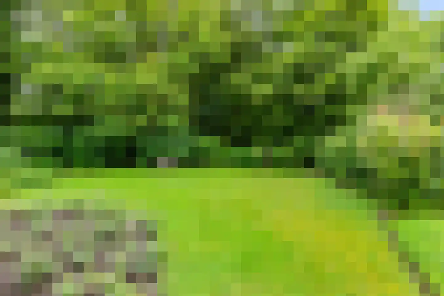 Ettenlaan 15 Rolde thumbnail 9
