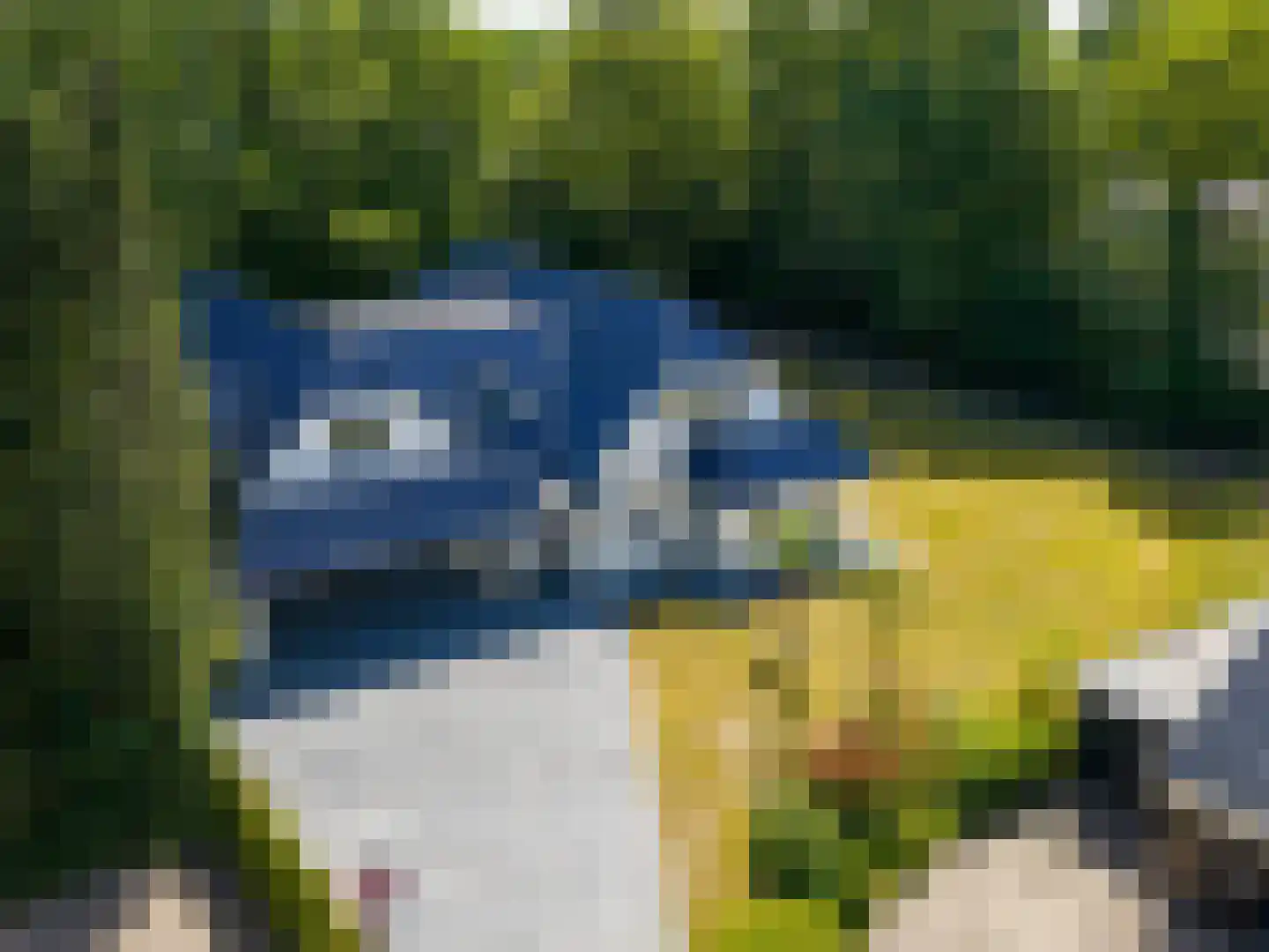 Ettenlaan 5 Rolde foto 3