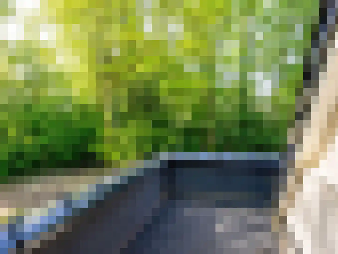 Ettenlaan 5 Rolde thumbnail 42