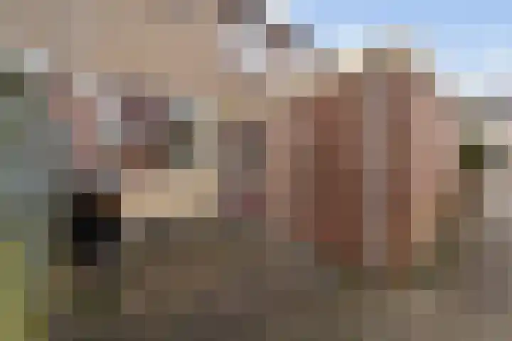 Ettenlaan 5 Rolde thumbnail 47