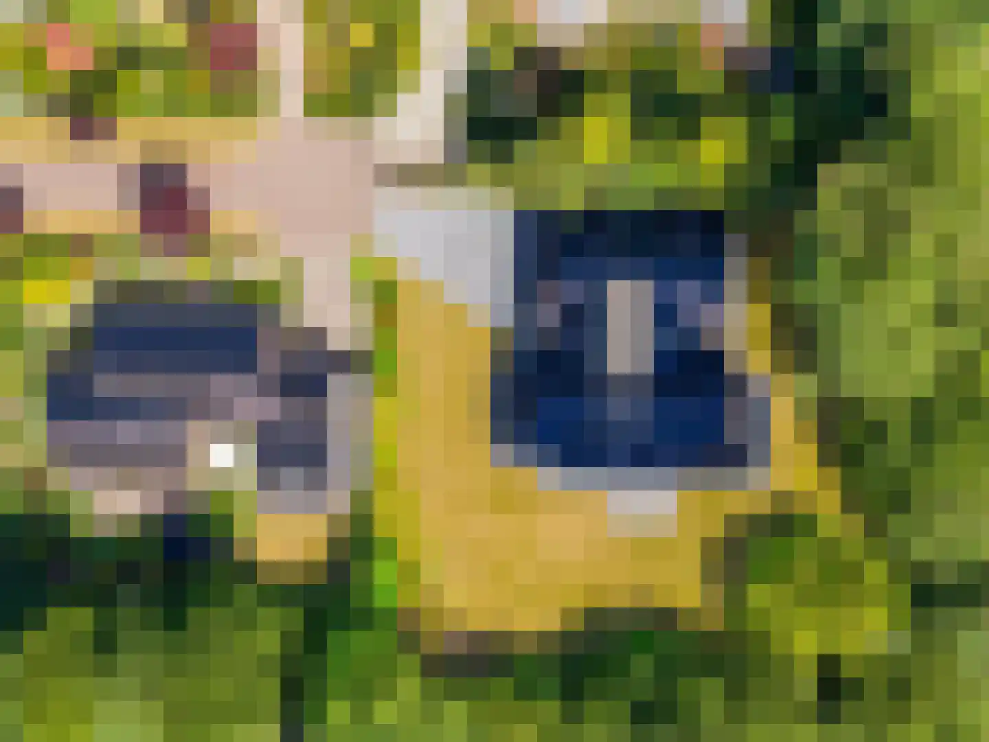 Ettenlaan 5 Rolde thumbnail 55