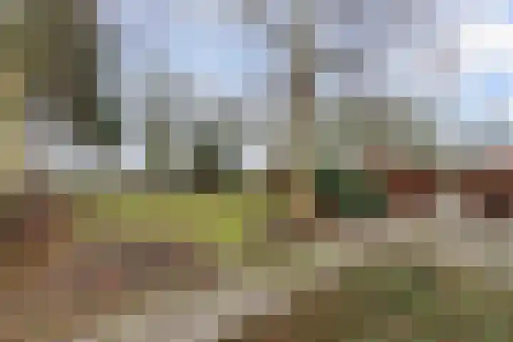 Ettenlandseweg 22 A Marknesse thumbnail 12