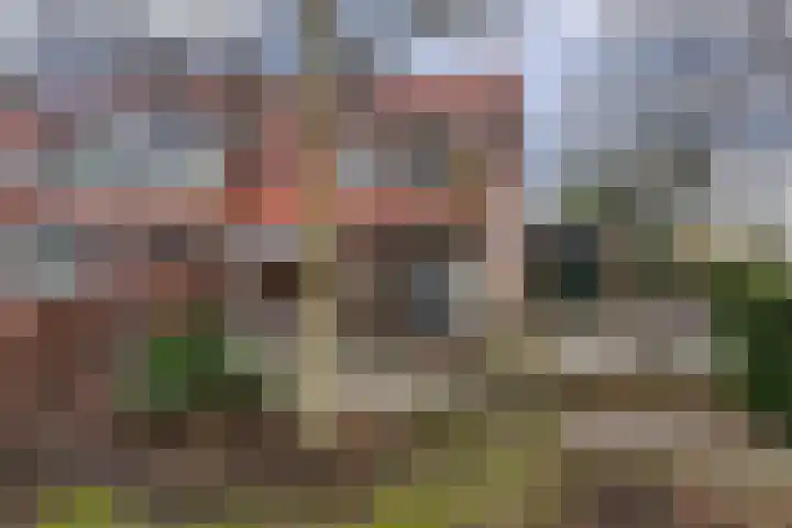 Ettenlandseweg 22 A Marknesse thumbnail 14