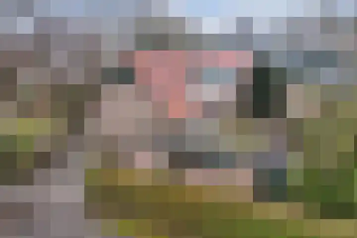 Ettenlandseweg 22 A Marknesse thumbnail 17