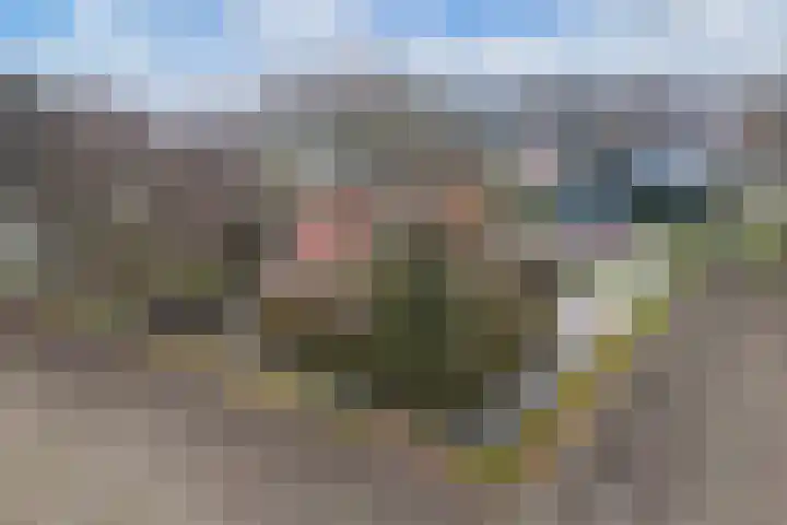 Ettenlandseweg 22 A Marknesse thumbnail 18