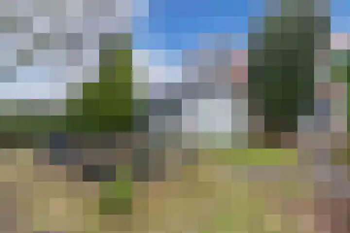Ettenlandseweg 22 A Marknesse thumbnail 32