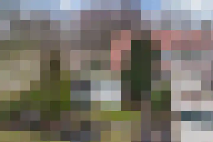 Ettenlandseweg 22 A Marknesse thumbnail 34