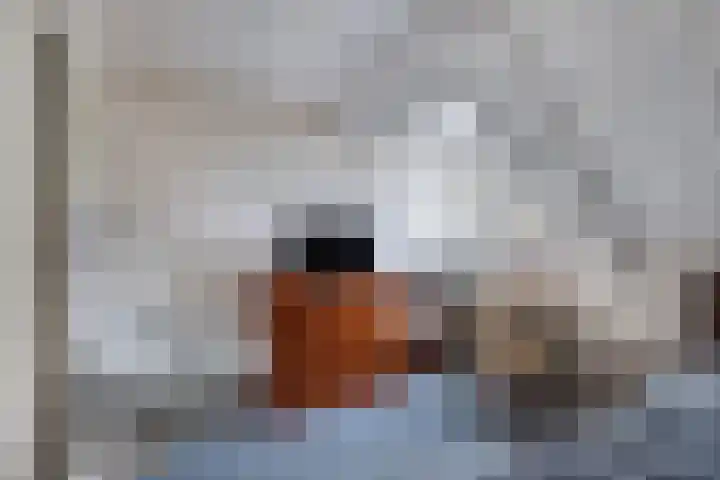 Ettenlandseweg 22 A Marknesse thumbnail 37