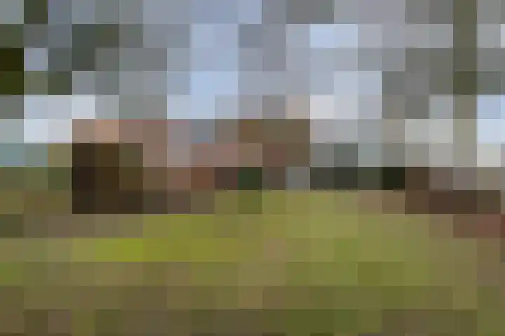 Ettenlandseweg 22 A Marknesse thumbnail 9