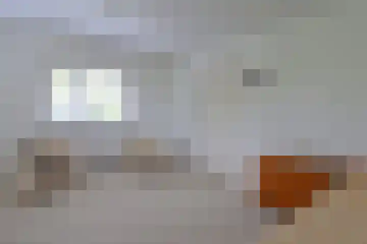 Ettenlandseweg 4 Marknesse thumbnail 18