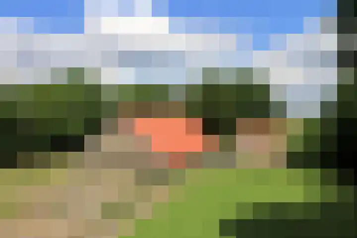Ettenlandseweg 4 Marknesse thumbnail 21