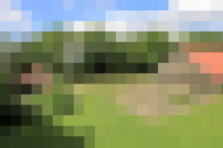 Ettenlandseweg 4 Marknesse thumbnail 23