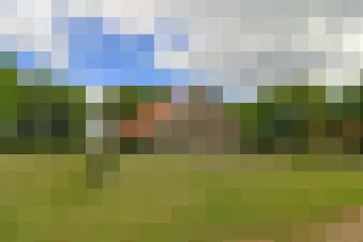 Ettenlandseweg 4 Marknesse thumbnail 24