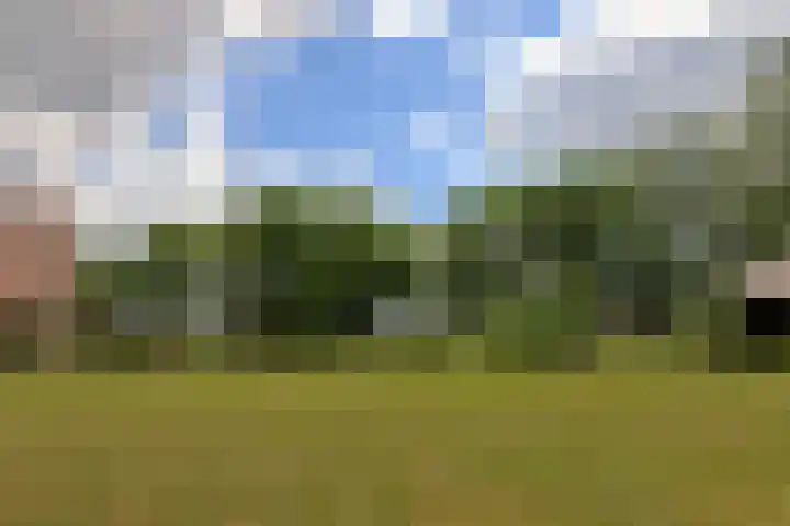 Ettenlandseweg 4 Marknesse thumbnail 25