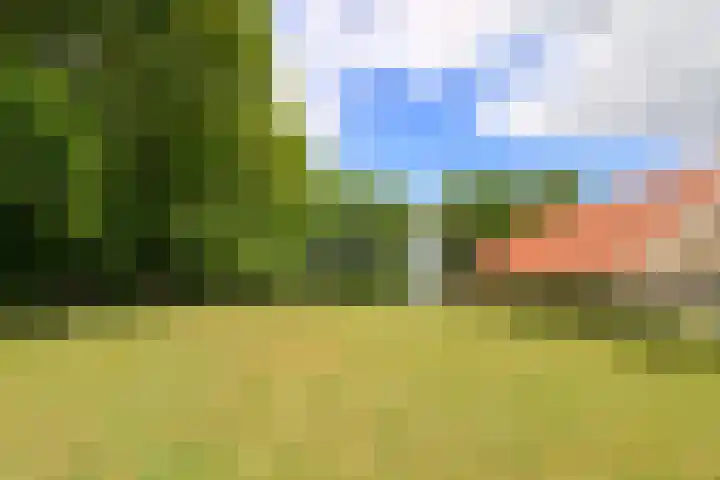 Ettenlandseweg 4 Marknesse thumbnail 26