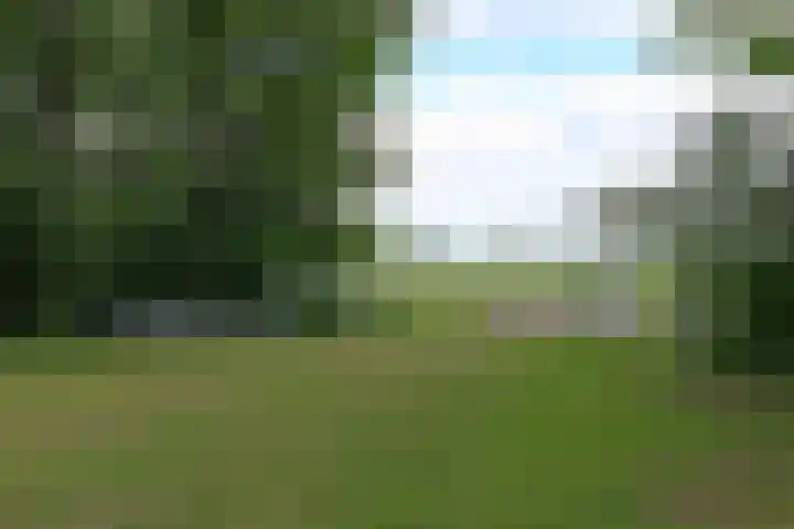 Ettenlandseweg 4 Marknesse thumbnail 30