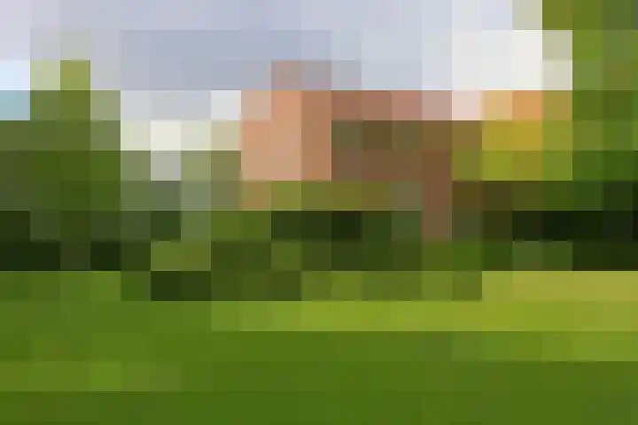 Ettenlandseweg 4 Marknesse thumbnail 31