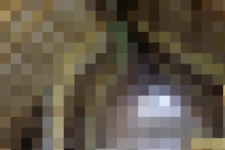 Ettenlandseweg 4 Marknesse thumbnail 34
