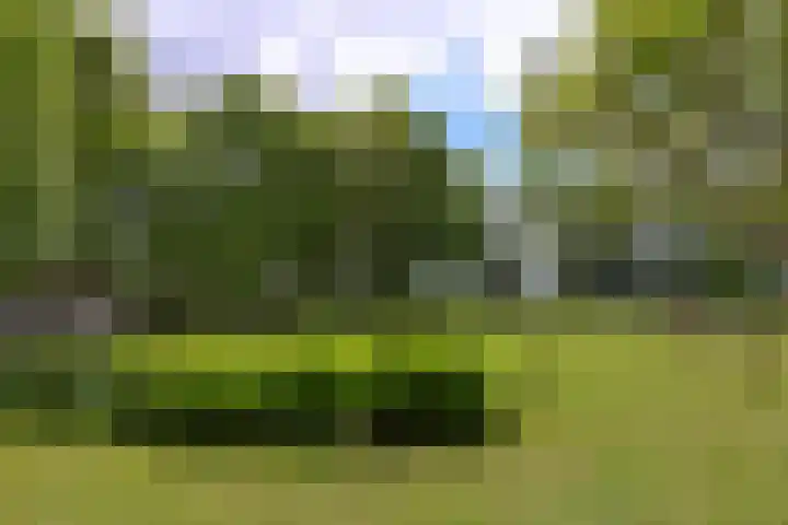 Ettenlandseweg 4 Marknesse thumbnail 5