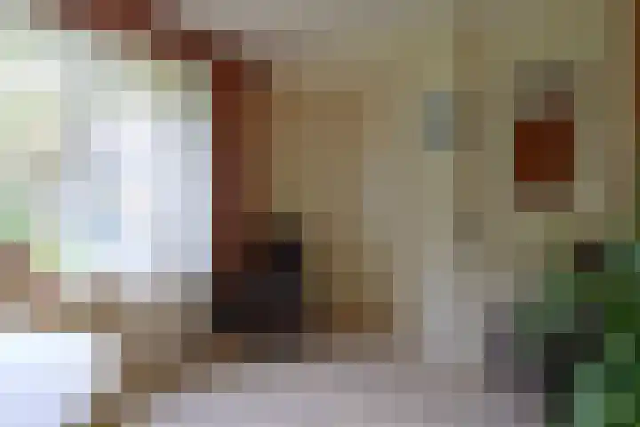 Ettenlandseweg 4 Marknesse thumbnail 9