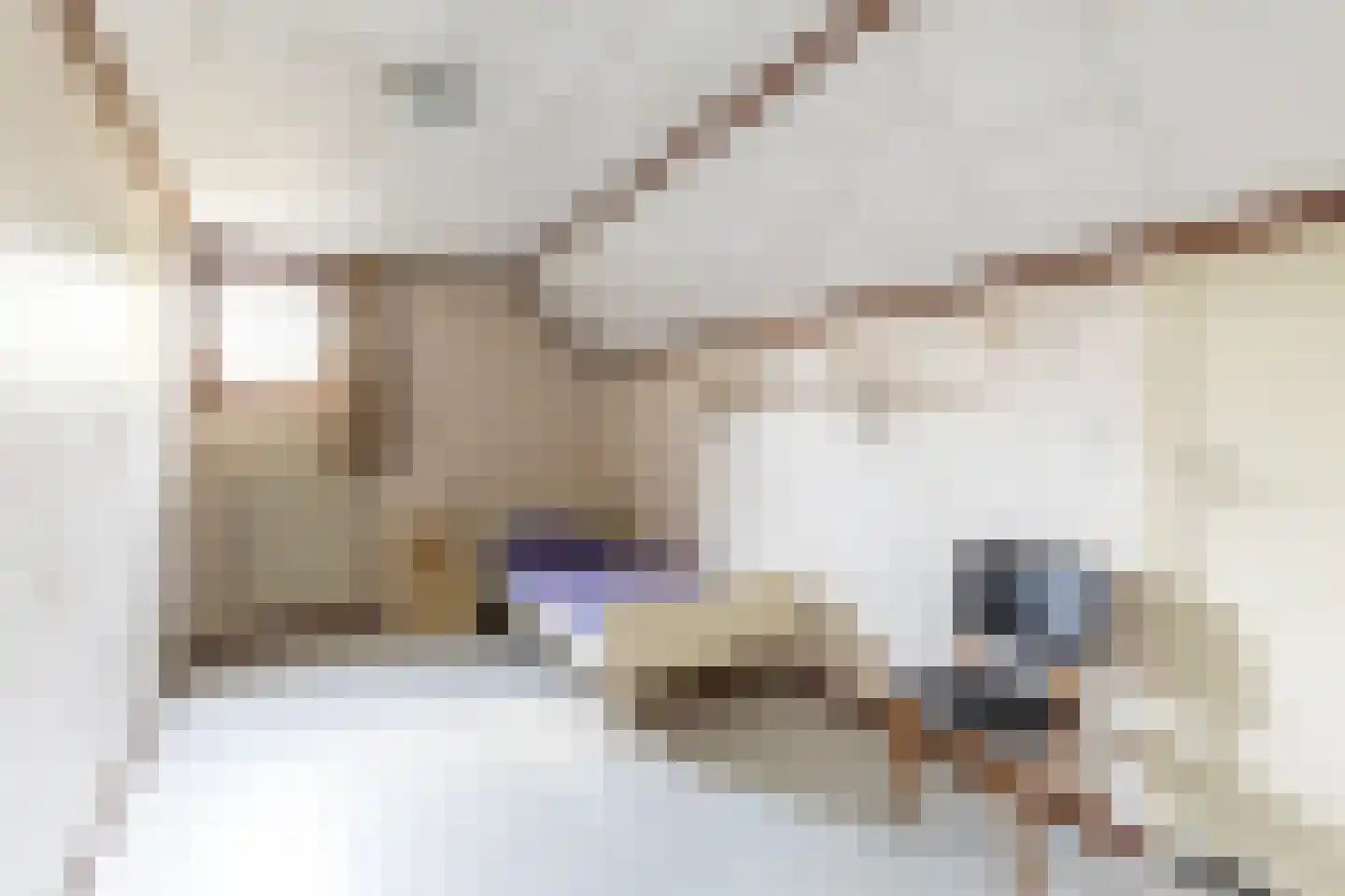 Ettensebaan 17 Klein Zundert thumbnail 26