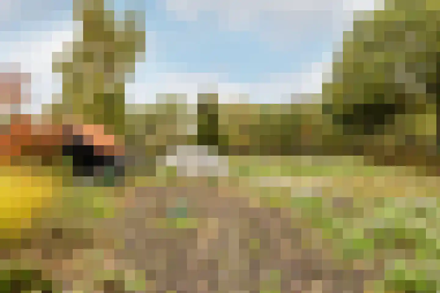 Ettensebaan 17 Klein Zundert thumbnail 33