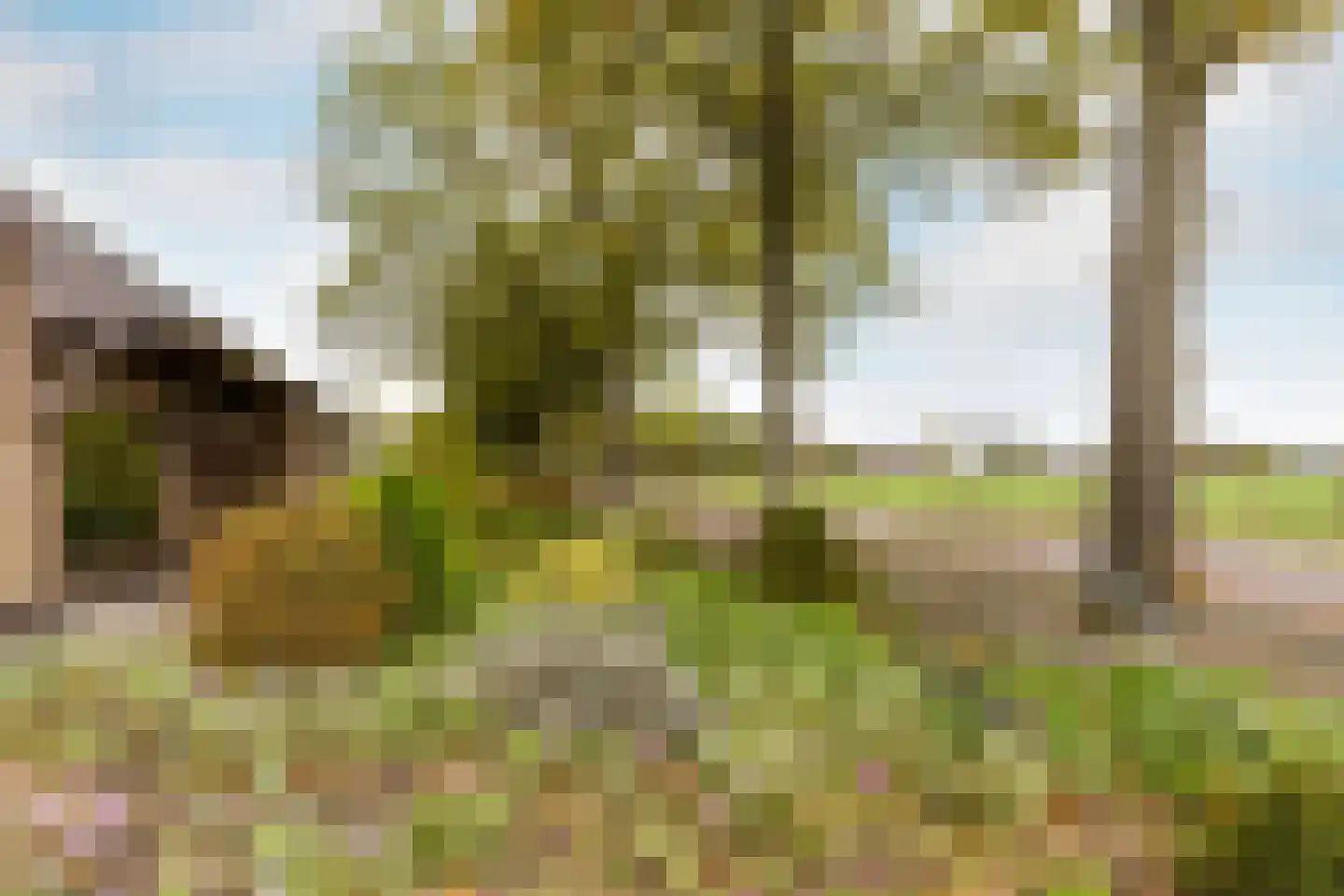 Ettensebaan 17 Klein Zundert thumbnail 37