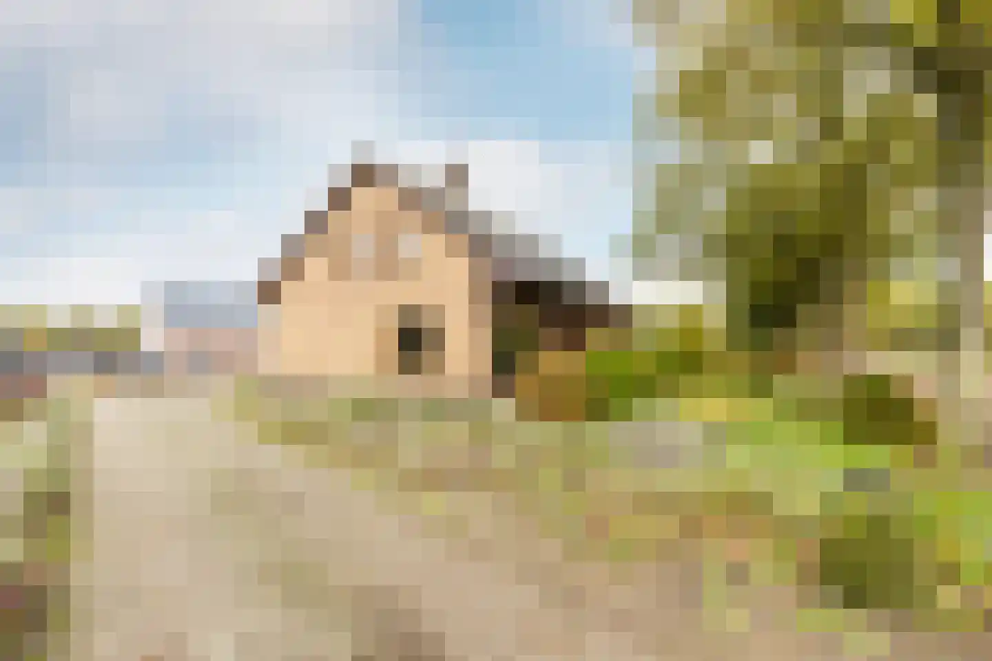 Ettensebaan 17 Klein Zundert thumbnail 38