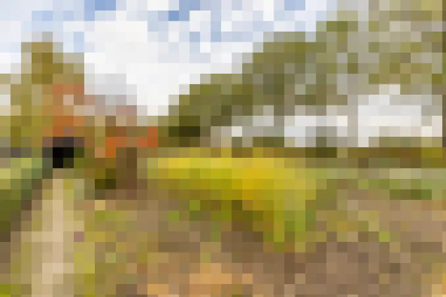 Ettensebaan 17 Klein Zundert thumbnail 42