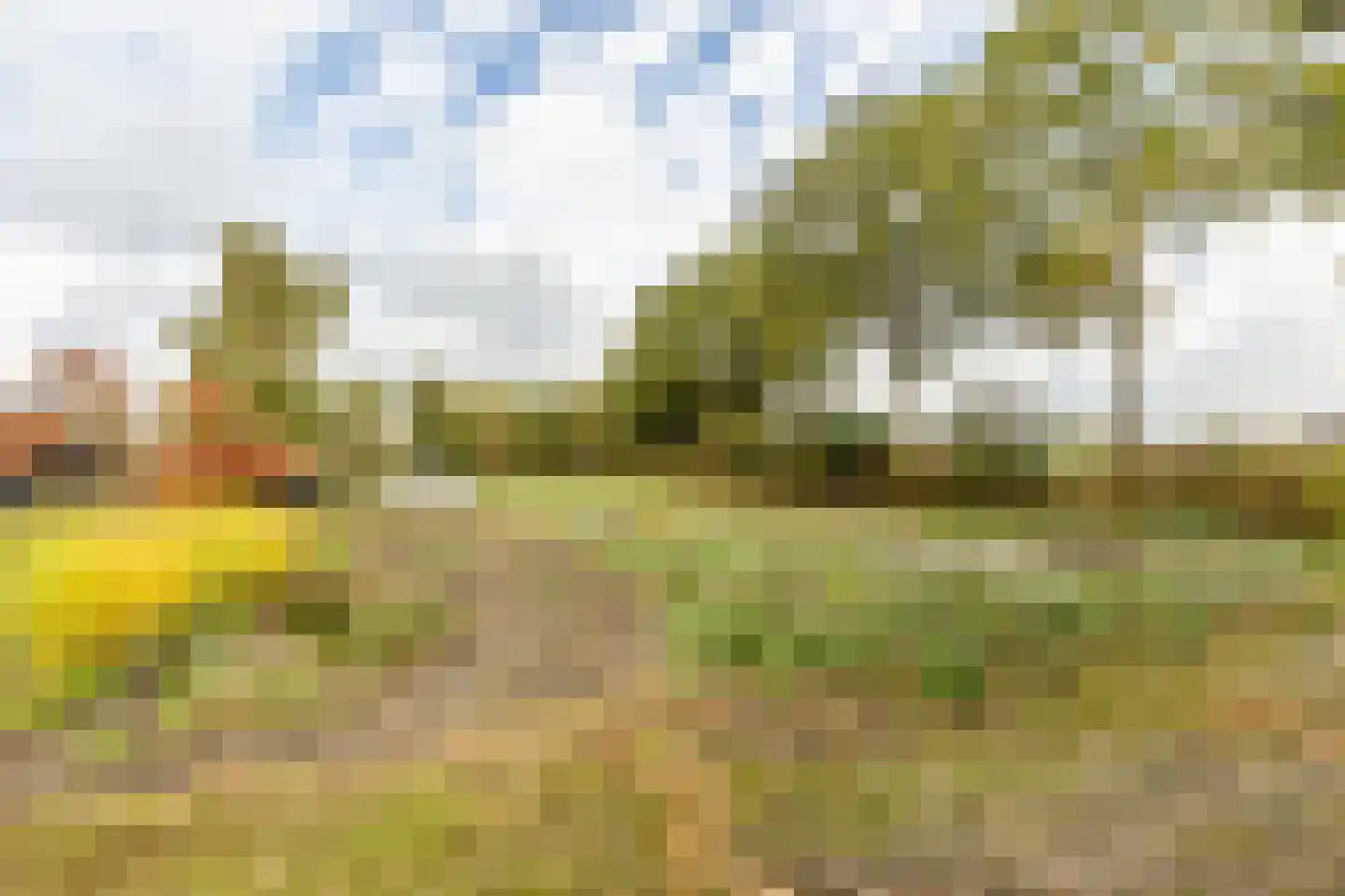 Ettensebaan 17 Klein Zundert thumbnail 6