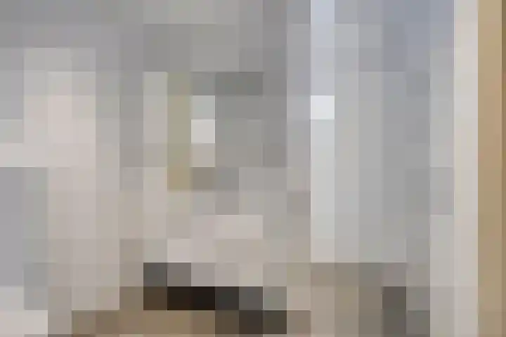 Ettensestraat 22 Terborg thumbnail 16