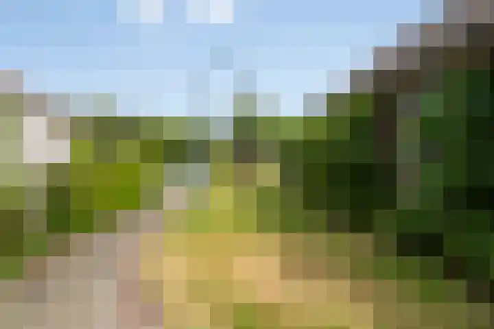 Ettensestraat 22 Terborg thumbnail 33