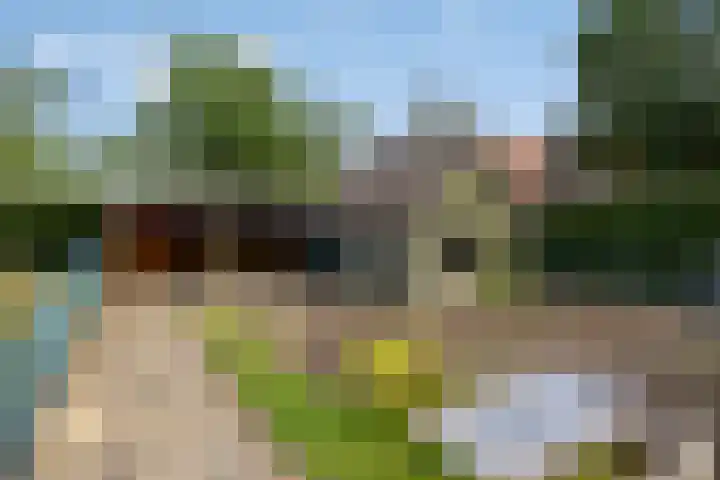 Ettensestraat 22 Terborg thumbnail 35