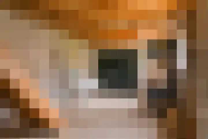 Ettensestraat 22 Terborg thumbnail 39
